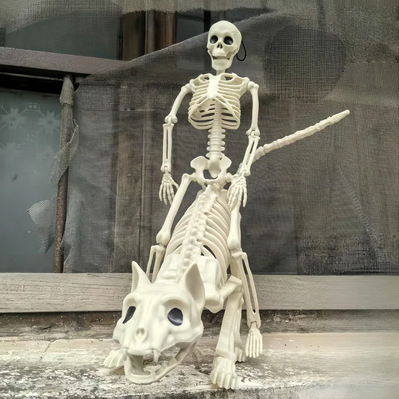 Skeletdecoratie – Mensfiguur en kattenskelet van 40 cm met hanghaak