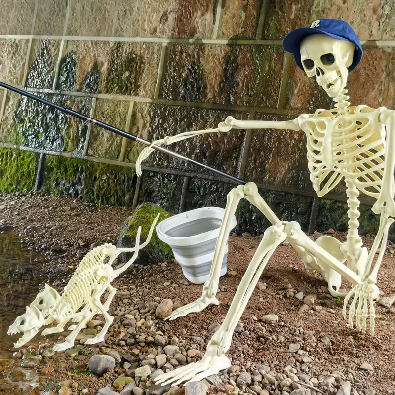 Skeletset poseerbaar – Drie figuren van 1,65 m met beweegbare gewrichten