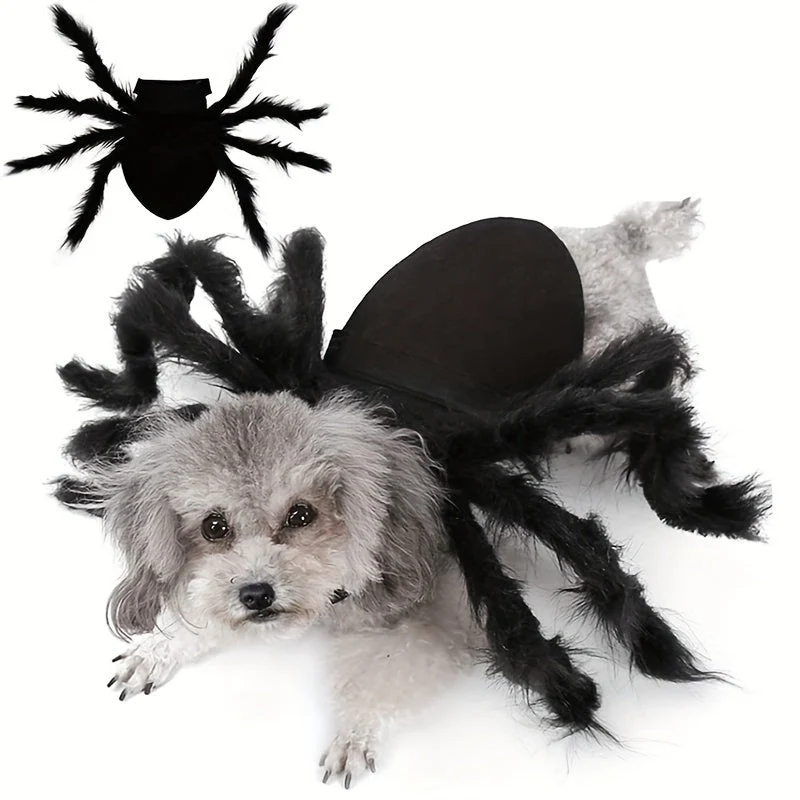 Hondenkostuum spin – Acht pluche poten die meebewegen met je hond