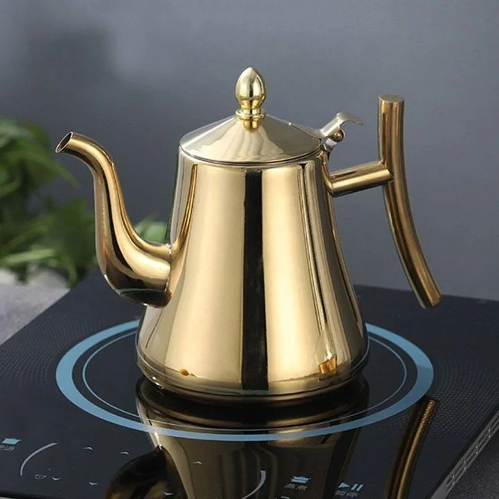 Waterkoker - RVS Inductie Waterkoker met Filter voor Pure Smaak - AquaSteel