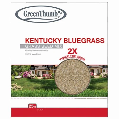 Barenbrug GTKBG25 25 LB Bag of Kentucky Bluegrass Grass Seed Mix - Quantity of 3