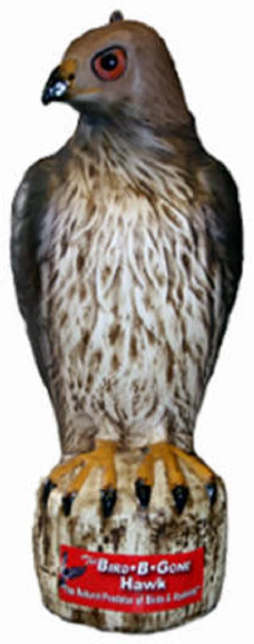 Bird B Gone MMRTH1 Heavy Duty Plastic Hawk Decoy - Quantity of 6