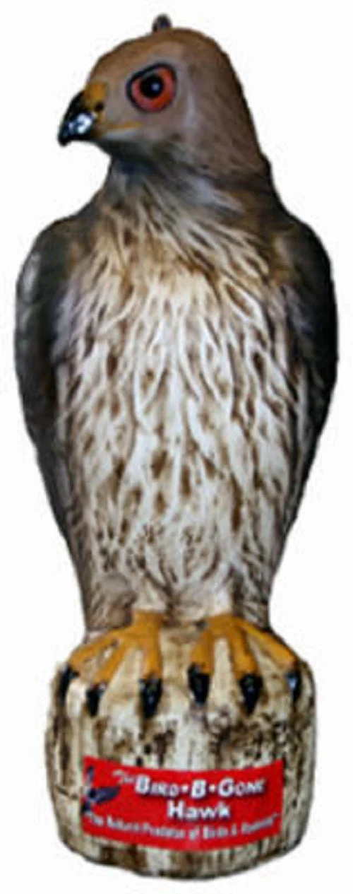 Bird B Gone MMRTH1 Heavy Duty Plastic Hawk Decoy - Quantity of 3