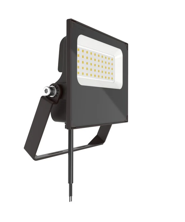 Led's Light LED buitenlamp Premium breedstraler 50W zwart