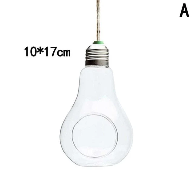 Hanging Glass Light Bulb Lamp Shape Flower Water Plant
