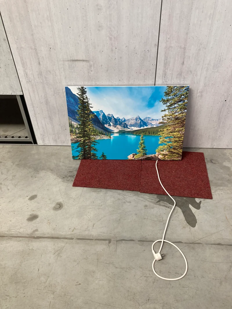 Ecaros Infrarood paneel met print - 600 Watt OUTLET