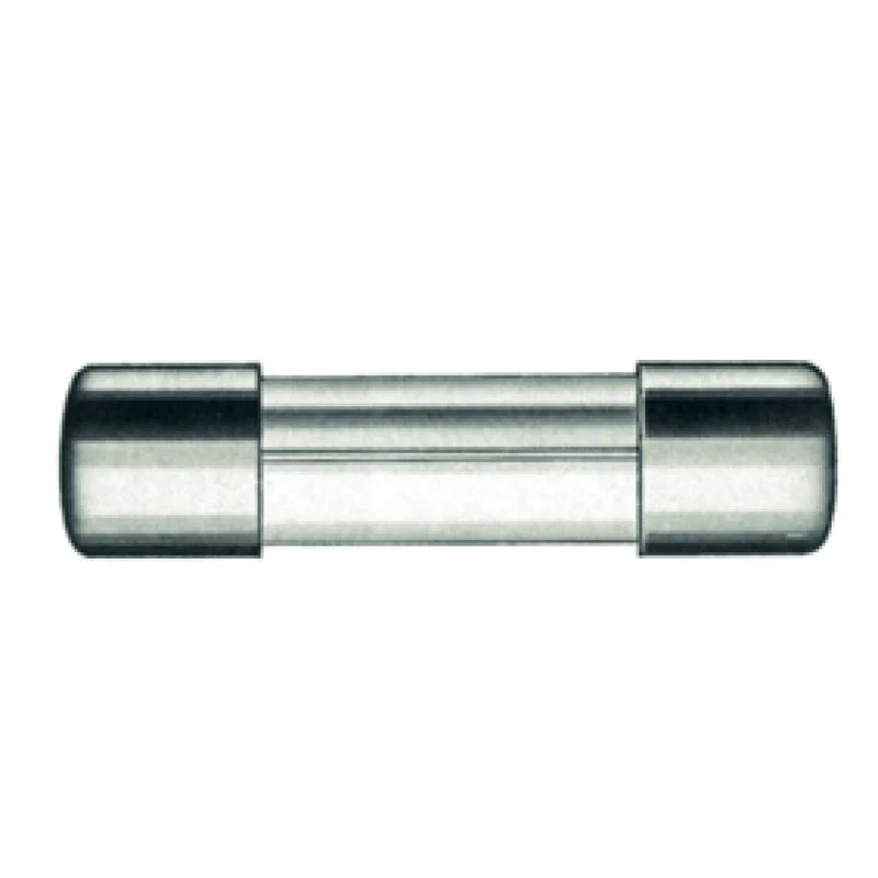 Buiszekering 10A 5x20mm 10 stuks