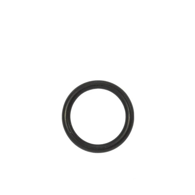 Truma O-Ring 10x25