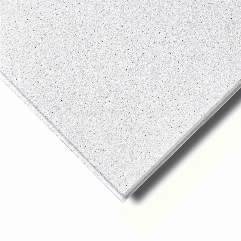 Agnes One-Step Plafondplond Stuc Wit Vochtwerend 620x1220x12mm 4st 70% PEFC