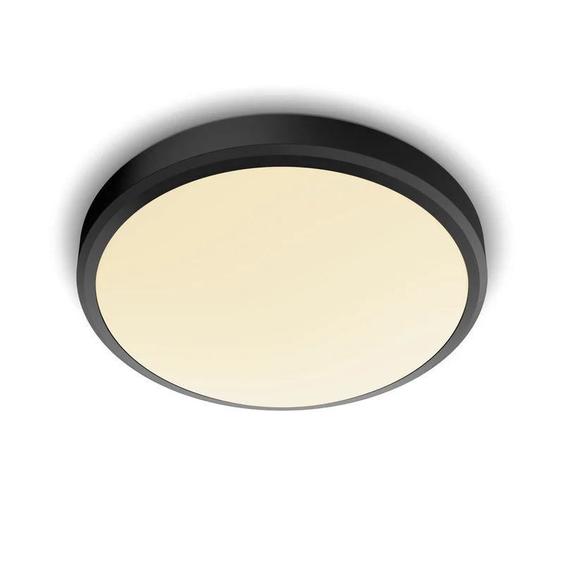 Philips Plafondlamp Doris CL257 Zwart Rond 17W IP44 Ø31,3cm