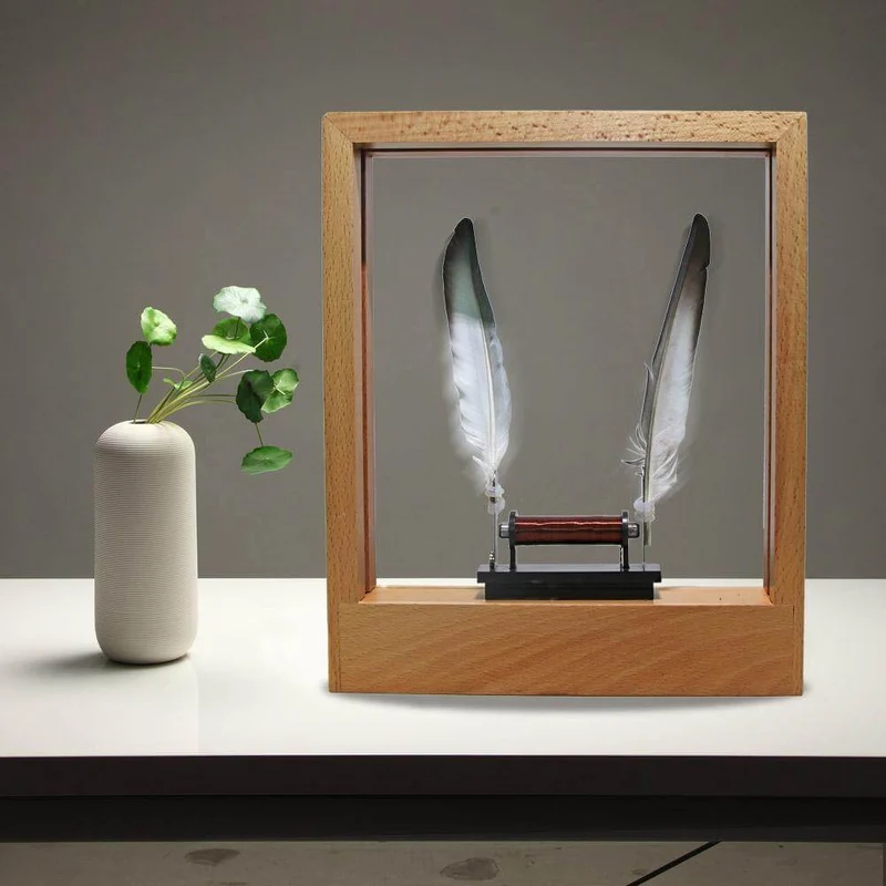 Slow Motion Frame LED Feather Night Light